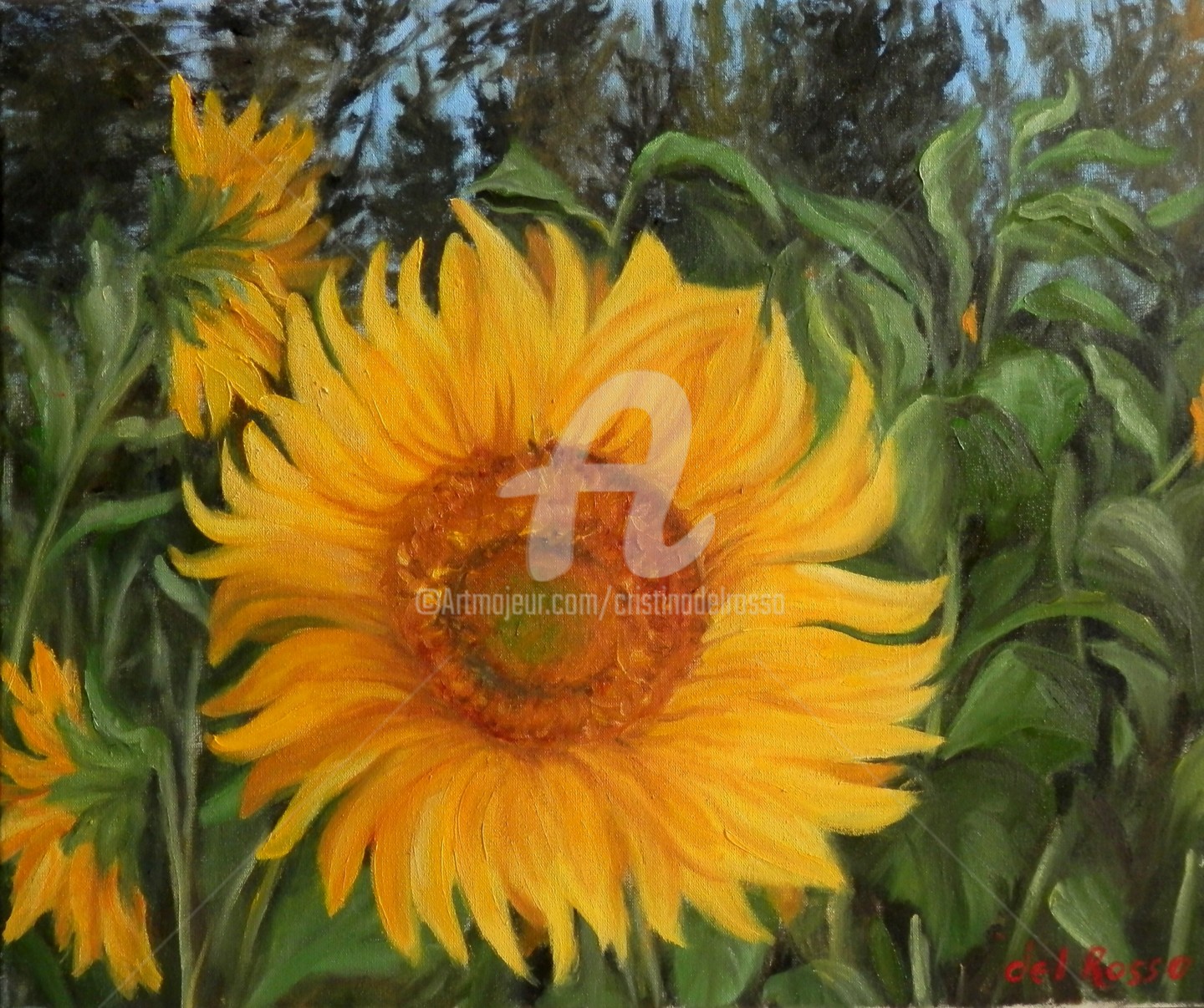 Cristina Del Rosso - Girasoles (Sunflowers)