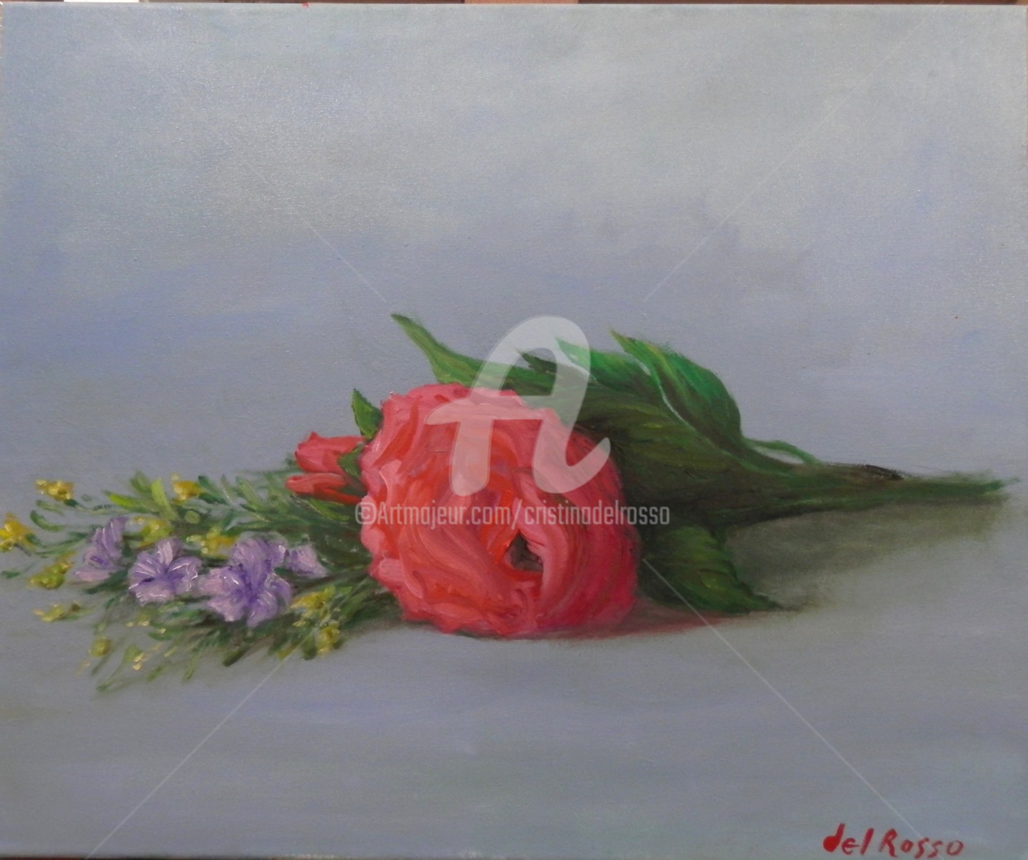 Cristina Del Rosso - Estudio de flores recién recogidas (Sketch of flowers)