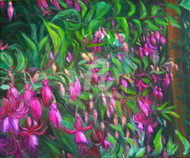 Fucsias en el porche (Fuchsia on the porch)