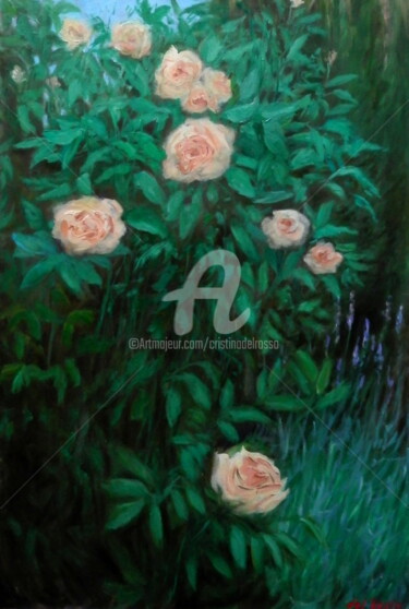 Rosas trepadoras (Climbing roses)